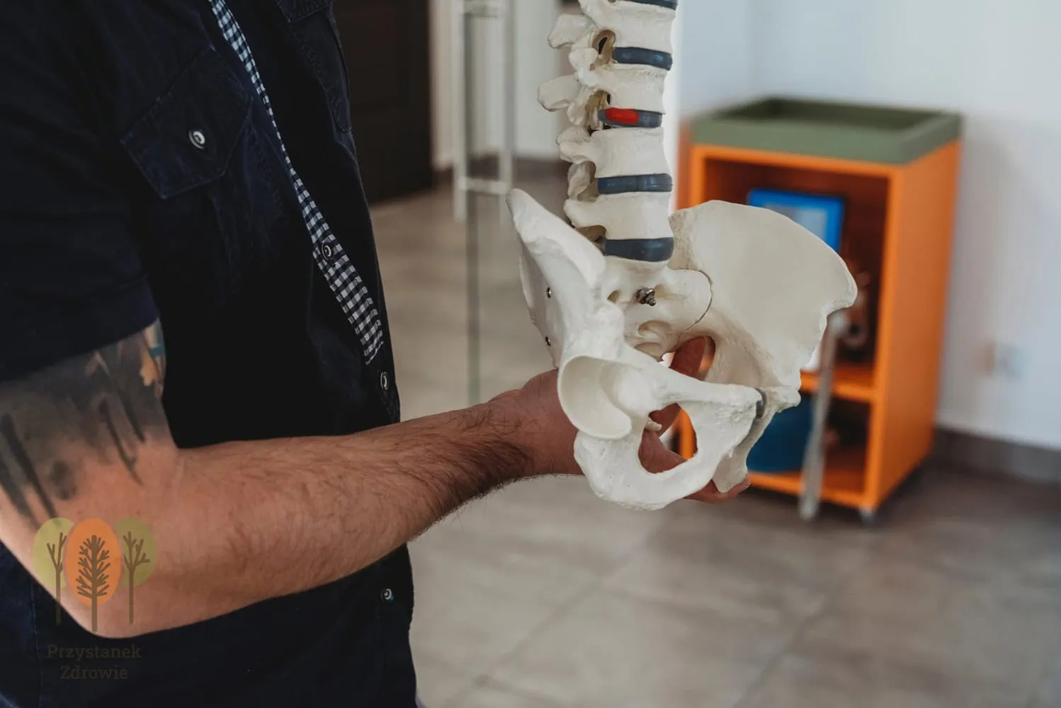 Przystanek-Zdrowie-Osteopatia-narzadu-ruchu1